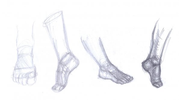 Female Foot Sketches