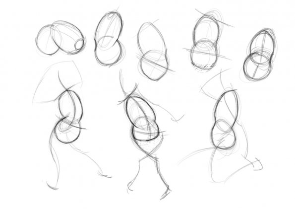 Gesture Drawing the Torso Figures