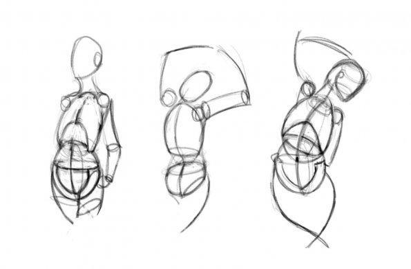 Quick Pelvis and Ribcage Sketches V