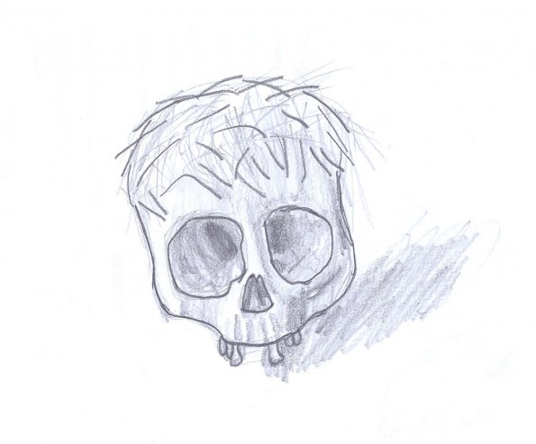 Hairy_Half_Skull_925